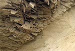Przekrój roztoczańskiej wydmy - mokry piasek na przedwiośniu zaczął zdradzać niejako swoje warstwowanie czyli eoliczną genezę. Jesteśmy w piaskoni Górniki
