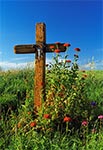 Przydrożny krzyż na południe od Zwódnego - Borek Białowolski