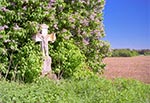 Krzyż z roku 1895 na polach, na SE od Horyńca Zdroju - przysiółek Szwaby