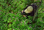 Plener fotograficzny w rezerwacie Jarugi, w RPN