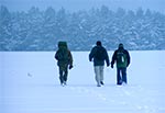Od lewej - Tomek, Piotrek i Mariusz. Eksploracja Roztocza Wschodniego zimą