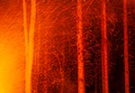 Płonące na ognisku drewno świerkowe daje dużo iskier, dając takie oto ciekawe efekty na zdjęciu, przy długim czasie ekspozycji. Zimą owe iskry mogą być jedynie niebezpieczne dla naszego odzienia oraz namiotu z tworzyw sztucznych (wypalone dziurki) ale w pozostałych porach roku, kiedy jest sucho, lepiej z takiego drewna zrezygnować z wiadomych względów