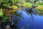 Aktywne łowienie batem w Tanwi