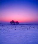 Zimowy pejzaż Padołu Zamojskiego - okolice wsi Mokre