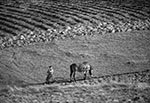 Zdjęcie archiwalne z czasów kiedy tak jeszcze orano pola na Roztoczu