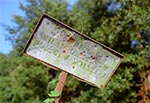 Stara klimatyczna tabliczka na skraju Parku Krajobrazowego Puszczy Solskiej, przy wjeździe od strony Olchowca w kierunku Borowca. Widoczne ślady po ćwiczeniach strzeleckich  ;)