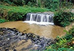 Największy naturalny wodospad Roztocza - potok Jeleń