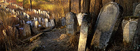 Cmentarze żydowskie (Chazarów) na Roztoczu 