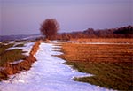 Ostatni śnieg na przedwiośniu - pola Feliksówki