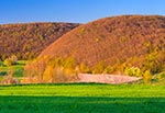Najbardziej monumentalna góra Roztocza, którą GÓRĄ można nazywać bez posądzenia o roztoczańską megalomanię. Porastają ją buki, których kwiaty mają taki czerwonawy kolor, stąd góra ta ma taki sam koloryt zarówno w kwietniu jak i w październiku