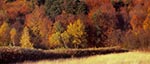 Jesienna panorama Roztocza Środkowego