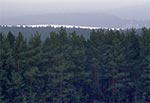 Lasy Roztocza Wschodniego (Poludniowego) - widziane z pól na SW od dawnego PGR Monasterz koło Werchraty