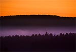 Poranna zorza nad lasami Roztoczańskiego Parku Narodowego