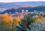 Na pierwszym planie mieszane lasy porastające wąwozy Roztocza Szczebrzeszyńskiego, a na ostatnim sosnowe i bukowe lasy Roztocza Środkowego.