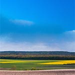 Stoimy na wierzchowinie między Wychodami a Kątami, a w kadrze oczywiście dym z płonącej Puszczy Solskiej, której puszczą nazywać raczej się nie powinno już od dawien dawna. Teraz to jest plantacja łatwopalnej sosny. Co było przyczyną pożaru tego nie wiemy ale jest to mało istotne - bardzo istotne jest pytanie - jaki wizjoner z lat 50-60 nakazał meliorować Polskę na potegę aby wyrwać kolejne skrawki ziemi pod rolnictwo i leśnictwo? Teraz mamy właśnie skutki osuszania kraju. Bez suszy nie byłoby i pożarów. Inna sprawa, że te susze (a raczej dziwnie przedłużajace się blokady wyżowe), które ostatnimi laty występują mogą mieć swoje źródło w jawnej bądź niejawnej inżynieri pogodowej, którą się przecież stosuje w bardzo wielu krajach na Ziemi. Kiedy człowiek bierze się za coś co go przerasta i zmienia na wielką skalę - to zawsze coś spiepszy, choćby i intencje miał dobre. Bo wiemy co jest wybrukowane dobrymi intencjami ;)