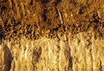 Kontakt gleby ze skałą macierzystą w kamieniołomie "Krzyżowa Góra"