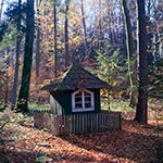Kapliczka na miejscu przedwojennej gajówki "Kalwaria" - Ufundował ją w 1914 roku gajowy Czubak. Czworo dzieci gajowego zmarło na tyfus w czasie szalejącej na tych terenach zarazy