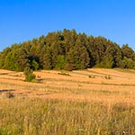 Wysoka Góra koło Tereszpola. Rejony tzw. Łysych Byków są wyśmienitym miejscem do biwakowania. Można tam znaleźć przyjemne sosnowe zagajniki, a cały teren jest wyniesiony i bardzo suchy. Nie spotyka się tam nawet uciążliwych gzów i komarów, a i kleszczy chyba stamtąd nigdy nie przywieźliśmy. Do tego jest tam sporo dróg o twardym podłożu kamiennym umożliwiających wjazd nawet kamperem w każdą pogodę - z zachowaniem oczywiście szczególnej ostrożności, bo w trawie może czaić się jakiś kamol.