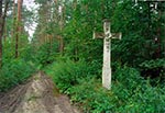 Krzyż z roku 1869 w nieistniejącym przysiółku Werchraty Górniki - stan po renowacji