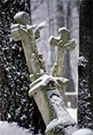 Krzyż bruśnieński na zabytkowym cmentarzu w Tymoszach koło Huty Kryształowej