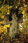 Krzyż bruśnieński na cerkiewnym cmentarzu w Podemszczyźnie