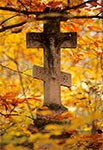 Krzyż bruśnieński na zabytkowym cmentarzu w Starej Hucie