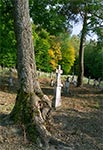 Na cmentarzu w Mycowie