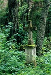 Cmentarz w Bruśnie Starym