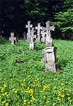 Cmentarz w Radrużu wiosną
