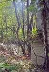 Tak kiedyś wyglądała wschodnia część cmentarza w Łosińcu