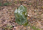 Starożytny słupek graniczny w roztoczańskim lesie - starożytny bo jak widać ma na górze małą piramidkę ;)