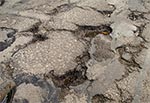 Erozja asfaltu na drodze z Rachodoszczy do Suchowoli i ogólnie na trasie Zamość - Krasnobród. Zdjecie archiwalne, dzis cały ten odcinek zyskał nowy asfalt - jest wygodnie ale bardzo niebezpiecznie z wiadomych względów