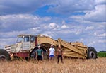 Dwa kadry z niedawnej ekspedycji poszukiwawczo-odnajdywawczej, w której uczestniczyłem na części trasy. Wespół ze znawcami Działów Grabowieckich - Tomaszem i Andrzejem. Jednym z celów było odnalezienie cmentarza z czasów I WŚ, o którego istnieniu mało kto wie i udało się. Jest tak zarośnięty, że stojącego tam krzyża o wysokości 3 metrów nie widać z odległości paru metrów - jest za nami na zdjęciu po prawej. Co ciekawe jazda rowerowo-motorowa całkiem sprawnie idzie. Na zdjęciu po lewej widzimy zaś parking dla zgarniarek MOAS, które znajdują się w koloni Sitno