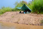 Dawniej biwakowanie nad Tawnią było błogie, bo do samej rzeki dochodziły gładkie jak stół, wystrzyżone przez krowy łąki. Wypas ustał, bo wszak dla dobra planety lepiej nam będzie zamiast mleka pić sok z karalucha. Stąd dziś dotarcie do rzeki staje się bardzo trudne, gdyż sam brzeg porasta nieprzebyty busz. Hannibal mawiał w takich wypadkach, że albo drogę znajdziemy albo ją wytyczmy. My mówimy - miejsca do biwakowania na dziko i tak nie znajdziemy więc nie chcemy ale musimy je wytyczyć. I tak oto w tym roku kontunuujemy karczowanie i poziomowanie bardzo malowniczej piaszczystej łachy. Idzie nam to z trudem, bo posługujemy się jedynie dużym sekatorem i szuflą ale jakiś przyczółek minimalnego komfortu wydarliśmy już z zielonego piekła. Zauważayliśmy jednak, że pomagają nam w karczowaniu wierzbowego gąszczu bobry. Skoro bobry nas popierają, to i my popieramy bobrów ;)