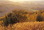 Jesienny pejzaż roztoczański - okolice wsi Kol. Gorajec-Zagroble