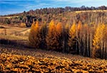 Krajobraz jesienny Roztocza Szczebrzeszyńskiego