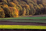 Jesienny krajobraz Działów Grabowieckich - między Łaziskami a Dębowcem