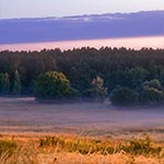 Jesienne Dahany o świcie. Miejsce to miało w swej historii okres zapomnienia, kiedy wizyta tam oznaczała gwarantowaną samotność. Obecnie staje się zbyt tłoczne - nie tylko podczas wakacji ale zwłaszcza kiedy nadchodzi Złota Polska Jesień.