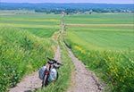 Latem mamy problem z przewożeniem w skawach rzeczy, które nie powinny się nazbyt nagrzewać. Najczęściej potrzebujemy ochronić przed wysoką temperaturą jedzenie i picie, a nam nie zależy aby nagrzewały się również klisze fotograficzne. Czasem też znajdziemy grzyby, jagody, które chemy zabrać ze sobą, itp. Dlatego warto zakupić dwa pokrowce przecideszczowe na plecak i za dnia nałożyć je na sakwy. Te akurat zakupione na Temu poza ceną i dobrą jakością wykonania mają tę zaletę, że są z jednej strony zielone (kiedy nie chemy się rzucac w oczy), a z drugej srebrne - kiedy chcemy odbijać promieniowanie słoneczne.