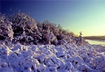 Zimowa idylla w rezerwacie Kąty