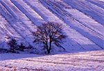 Zima na polach wsi Obrocz