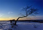 Zimą na roztoczańskiej wierzchowinie - okolice Feliksówki