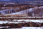 Zima u kresu - pola w okolicach wsi Suchowola