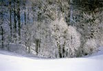 Zima w okolicach wsi Rachodoszcze