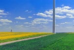 Grzęda Sokalska... Nie znajdziemy tu miedzy, gdzie zając łepek swój strudzony by oparł, gdzie zioła by rosły lecznicze. Nie ma, bo miedza mamony nie daje. Nie znajdziemy trześni czy gruszy śródpolnej, gdzie ptaszyna mogłaby przysiąść, gniazdo uwić, pożywić się owocem, a pszczoła nektar by zebrała. Nie ma, bo po co komu ptaki czy pszczoły? Nie znajdziemy zagajnika, gdzie zwierz by miał schronienie, bo wszystko trzeba zaorać aby zyski maksymalizować, wedle pierwszego przykazania ekonomii. Nie znajdziemy krzyża przydrożnego, bo to głupstwo dla neopogan, co wolą czicć rogatego ŚwiatoZwida. Nawet wiatrowi na Grzędzie nie przepuszczą - wiatrakowe monstra do mielenia ptaków stawiając. Ziemia tam żyzna ale chciwość nie pozwala zostawić ni skrawka ziemi przyrodzie. A gdzie chciwość tam i jej siostra zbrodnia, co ziemię tę uczyniła smutną na wieki. Dziś Grzęda smętna jest nawet w dzień słoneczny i błogi. Powiecie są wyjątki - owszem są - potwierdzajace regułę.