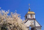 Na zdjęciu widzimy kaplicę cmentarza prawosławnego (zwnaego potocznie ruskim) w Zamościu, na wschód od ulicy Odrodzenia. Ten cmentarz był i zapewne jest nadal pod sklepem Biedronka do pierwszych bloków osiedla Wyszyńskiego. Natomiast pod tymi dwoma pierwszymi blokami i pod przedszkolem nr 12 znajduje się cmentarz tatarski. Mniej więcej oczywiście. Z relacji naszej mamy, która w dzieciństwie bawiła się tam z równieśnikami.