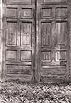 Drzwi na terenie kompleksu pałacowego Zamoyskich w Klemensowie