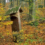 Gustowny słupek z napisem - Rezerwat ścisły Jarugi. We współczesnym plastikowycm świecie takie naturalnie wyglądajace elementy architektoniczne cieszą oko.