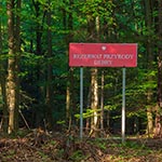 Prosto i na temat - takie nazwy nam się podobają. Podoba nam się również ten i inne rezerwaty Lasów Państwowych, bo można tam sobie wejść i chodzić poza szlakami, zwłaszcza jeśli chcemy fotografować przyrodę. W tym rezerwacie nawet nie ma żadnego szlaku turystycznego. Wizualnie rezerwat Debry niczym się nie różni od tych w RPN ale jest pewne zagrożenie - chodzą słuchy, że RPN ma chrapkę na ten rezerwat i może w przyszłości nastąpić jego wrogie przejęcie. Tak więc tym bardziej warto się tam wybrać, zanim wizyta tam będzie wiązała się z obecnością kamer i ryzykiem mandatu.