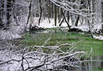 Wiecznie zielone źródła Raty szczególnie atrakcynie prezentują się śnieżną zimą. Źródła szczelinowe znajdują się tu w kilku miejscach, woda wypływa również z dna potoku
